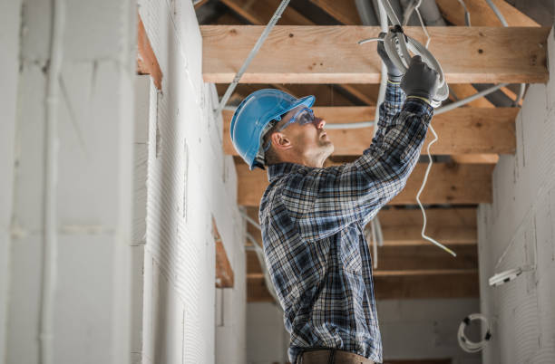 Best Residential Electrician Services  in Paw Paw, MI