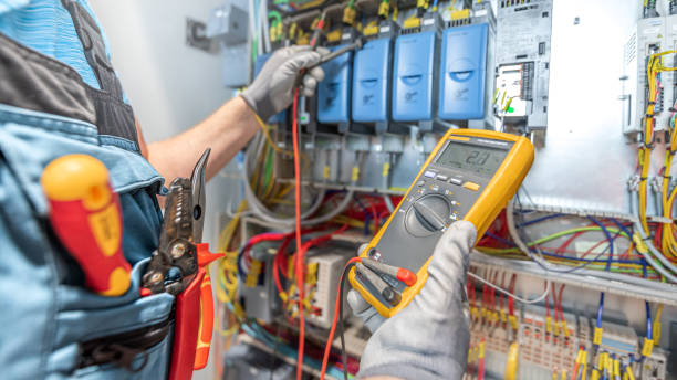 Best Electrical System Inspection  in Paw Paw, MI