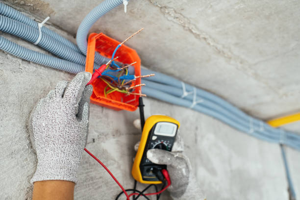 Best Residential Electrician Services  in Paw Paw, MI