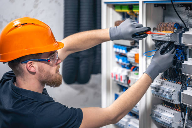 Best Ceiling Fan Installation Electrician  in Paw Paw, MI