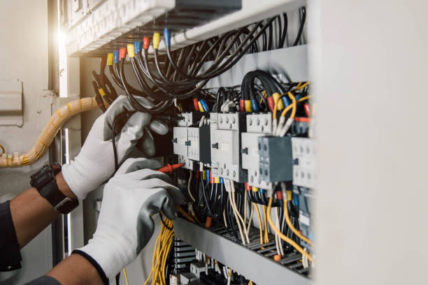 Best Electrician for Home Renovation  in Paw Paw, MI